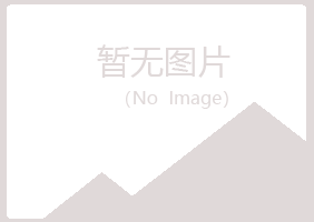 加查县紫山造纸有限公司